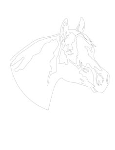 Horse Clip Kids Coloring Pdf, Free Vectors File